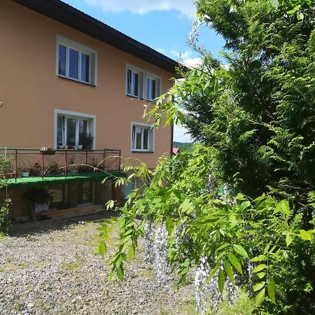 Noclegi Pod Lasem Solina 20 Экстерьер фото