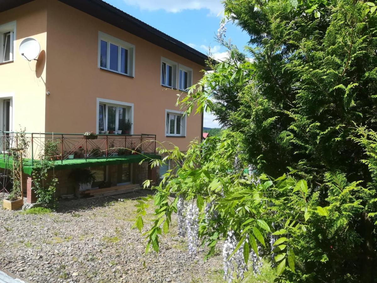 Noclegi Pod Lasem Solina 20 Экстерьер фото