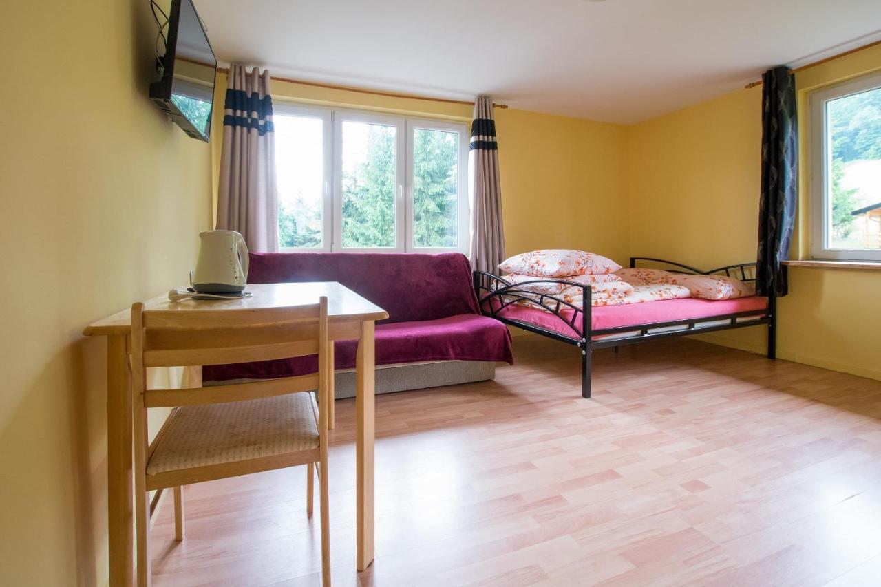 Noclegi Pod Lasem Solina 20 Экстерьер фото